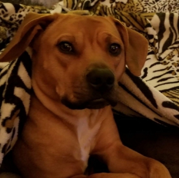 Meet your Posher, Tonya - Picture 6 of 8